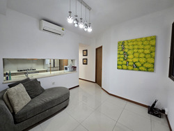 Parc Vera (D19), Condominium #585080491
